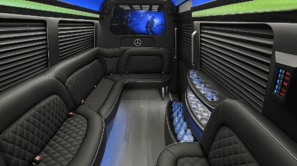 austin 14 passenger sprinter limousine interior