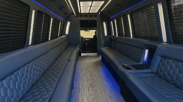 austin 25 passenger party bus rental