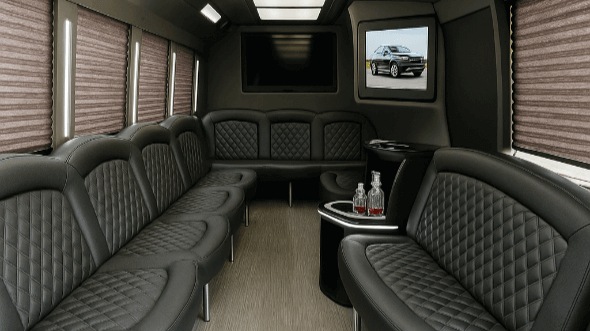 dallas 20 passenger party bus