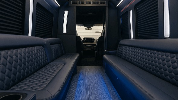 san antonio 20 passenger party bus